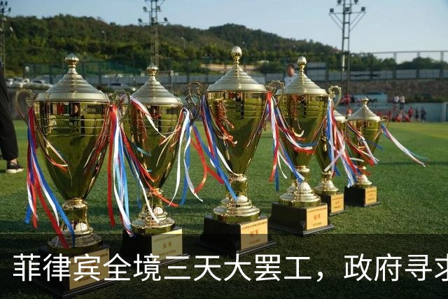 菲律宾全境三天大罢工，政府寻求中国援助以解决能源危机